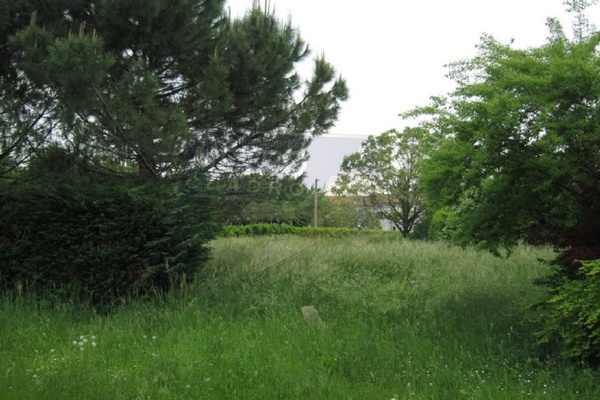 terreno 4 - TERRENO EDIFICABILE BREGANZE (VI)  